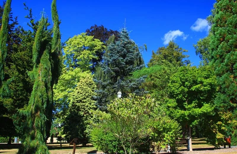 Arboretum du parc du château de la Roche